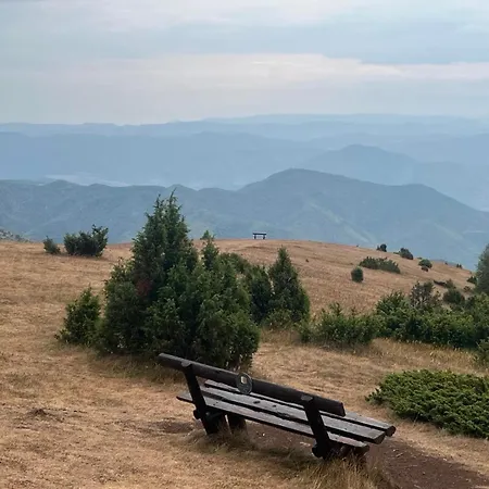 Kraljevi Cardaci Lux 10