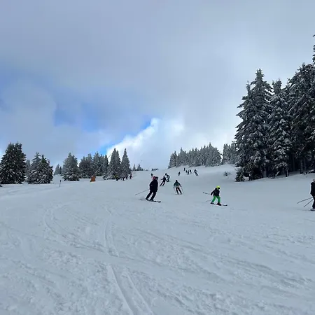 Kraljevi Cardaci Lux 10 *