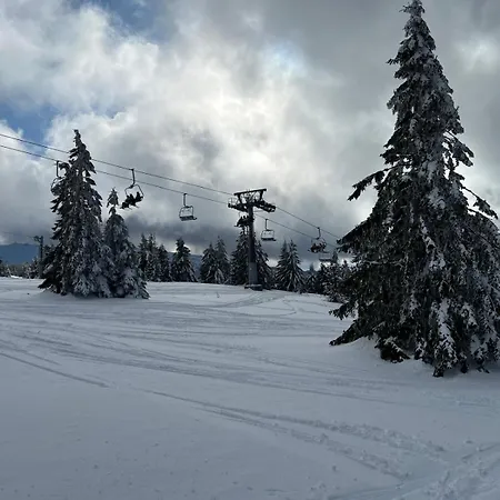 Kraljevi Cardaci Lux 10 * Κοπαόνικ