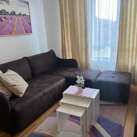 Kraljevi Cardaci Lux 10