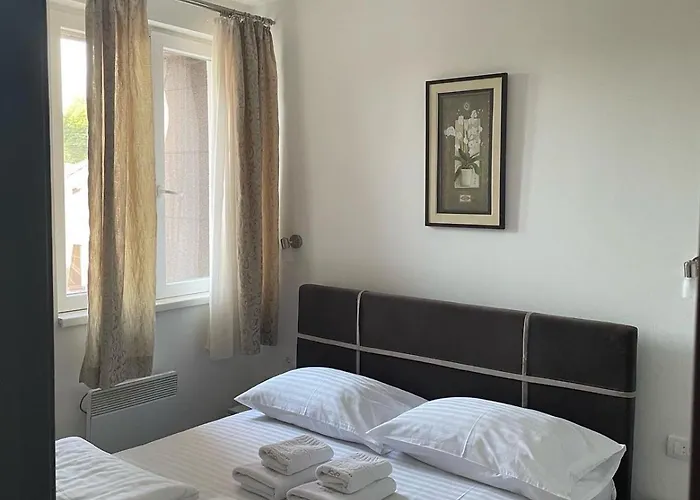 Kraljevi Cardaci Lux 10 Κοπαόνικ