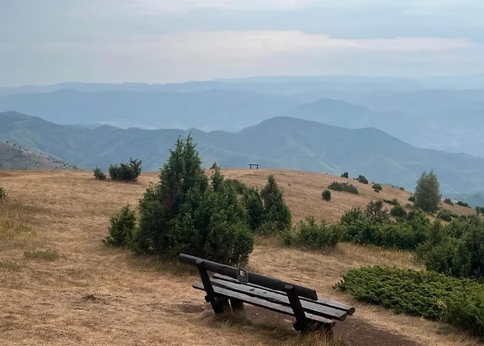 Kraljevi Cardaci Lux 10