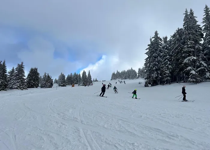 Kraljevi Cardaci Lux 10 *