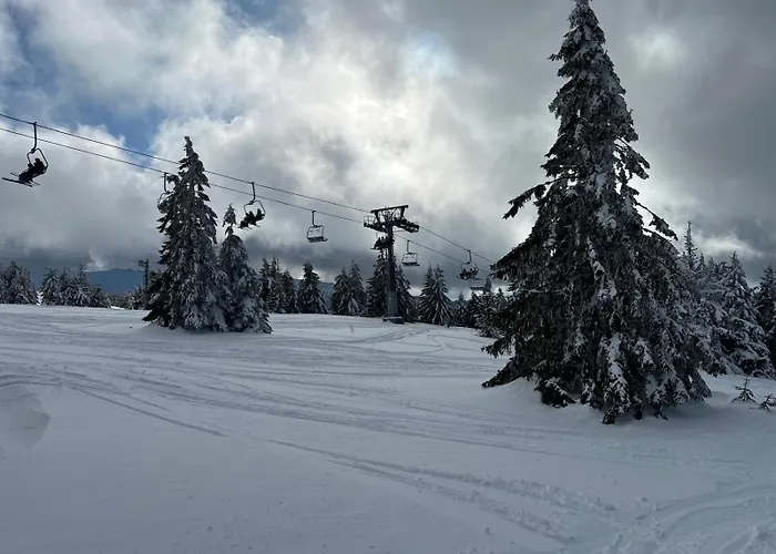 Kraljevi Cardaci Lux 10 * Κοπαόνικ