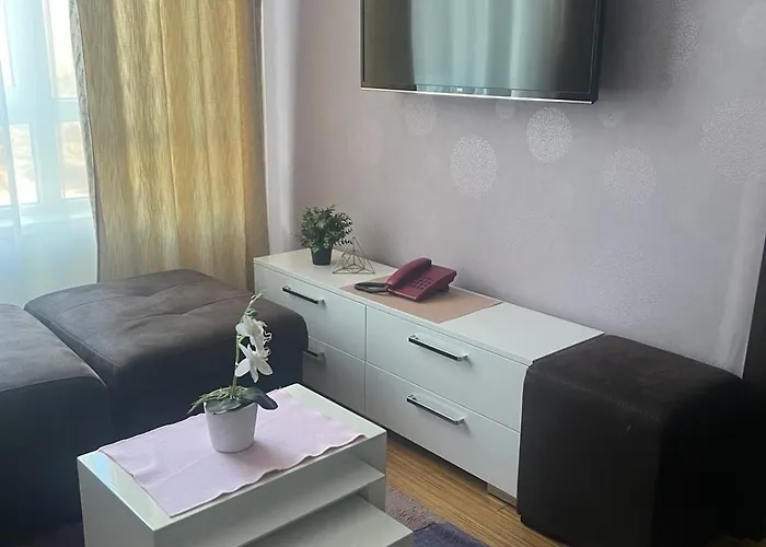 Kraljevi Cardaci Lux 10 * Κοπαόνικ