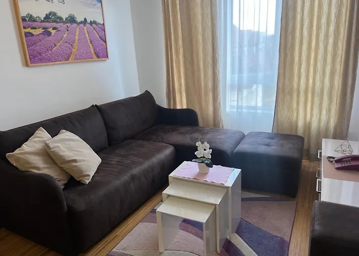 Kraljevi Cardaci Lux 10